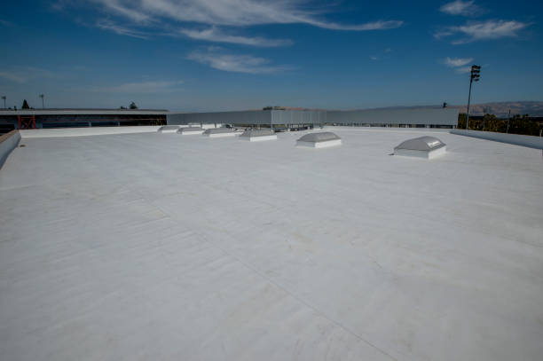 Best Roof Moss and Algae Removal  in Brecksville, OH
