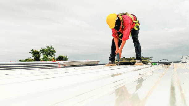 Best Skylight Installation and Repair  in Brecksville, OH